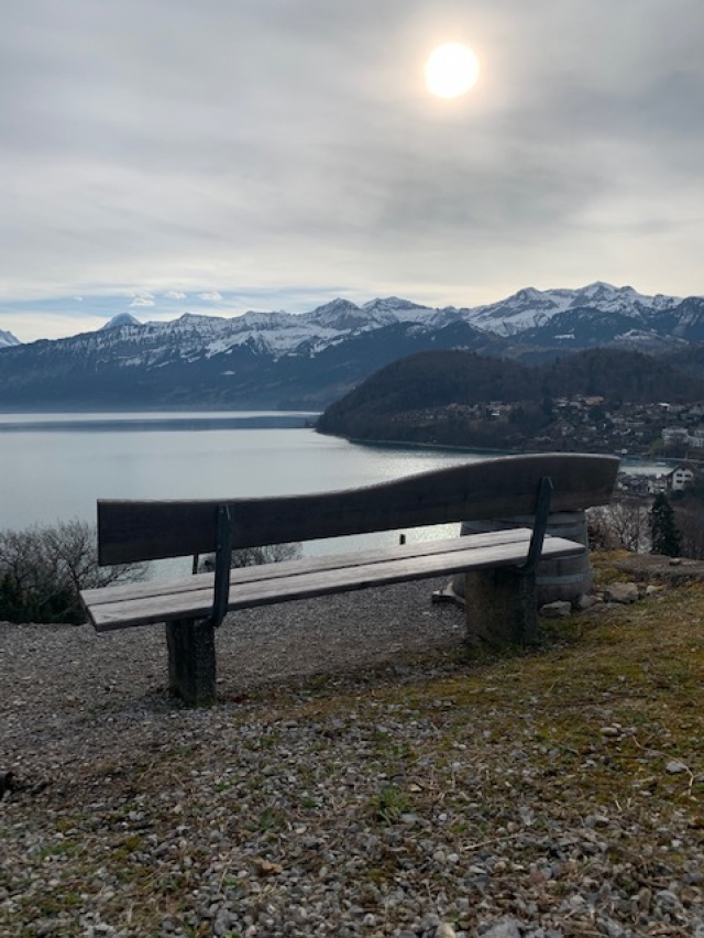 Natur Coaching Thun Bank am Seeufer